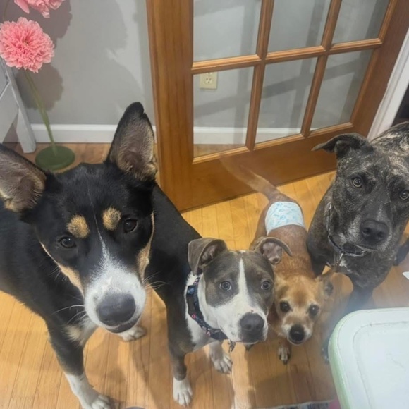 Meet your Posher, Kristen - Picture 6 of 11